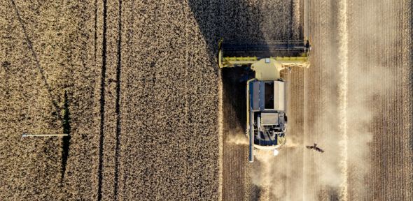 A combine harvester in a field